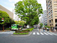 早稲田